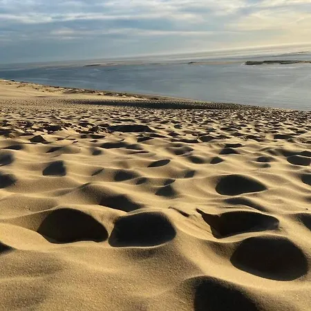 12 Pers Avec Piscine Chauffee Et Rafraichisseur Arcachon