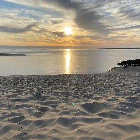 12 Pers Avec Piscine Chauffee Et Rafraichisseur Villa Arcachon