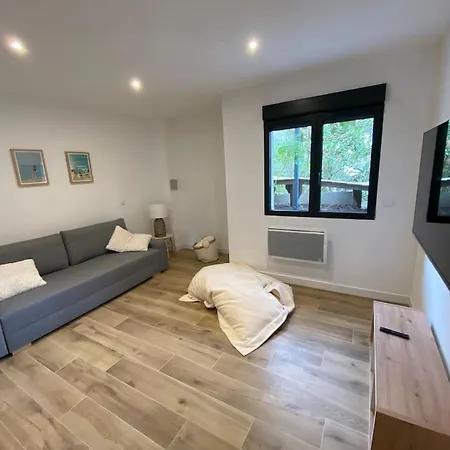 Villa 12 Pers Avec Piscine Chauffee Et Rafraichisseur Arcachon